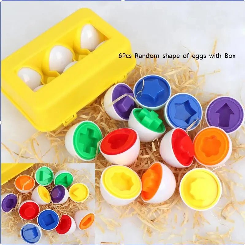 Jeu Montessori oeufs intelligent pour Bébé - Maman et Bébé